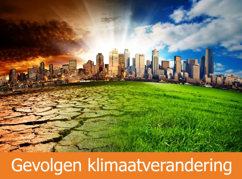 De oorzaken en gevolgen van klimaatverandering